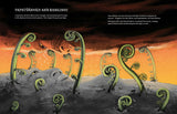 Rakau: The Ancient Forests of Aotearoa - Ned Barraud