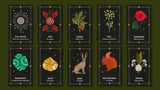 The Witch of the Forest's Earth Oracle Deck