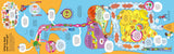 Usborne Big Book of the Body