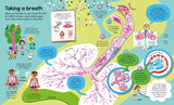 Usborne Big Book of the Body