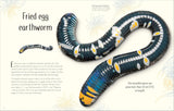DK An Anthology of Remarkable Bugs - Jess French