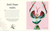 DK An Anthology of Remarkable Bugs - Jess French
