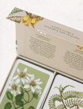 Playing Cards - Native Flora of New Zealand - 2 Decks