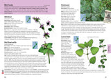 Edible Weeds Handbook: A field guide to the introduced edible wild plants of New Zealand - Andrew Crowe