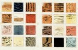 John Derian: Sticker Book II