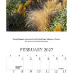 2027 - New Zealand Wilderness Calendar