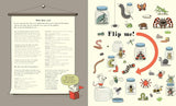 Search & Find Alphabet of Alphabets and Number of Numbers - AJ Wood , Mike Jolley illustrated by Allan Sanders