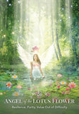 Angels of Nature Oracle: A 44-Card Deck and Guidebook - Sandra-Anne Taylor