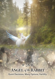 Angels of Nature Oracle: A 44-Card Deck and Guidebook - Sandra-Anne Taylor