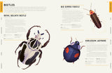 Encyclopedia of Animals: Contains over 275 species! - Jules Howard