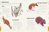 Encyclopedia of Animals: Contains over 275 species! - Jules Howard