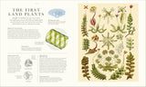 Atlas of Botany: An Exploration of Plants Across Time and Around the World - DK