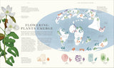 Atlas of Botany: An Exploration of Plants Across Time and Around the World - DK