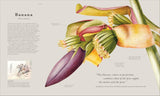Atlas of Botany: An Exploration of Plants Across Time and Around the World - DK