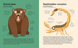 The World's Most Atrocious Animals - Philip Bunting