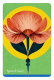 The Book of Awakening Inspiration Deck: 64 Full-Color Cards - Mark Nepo