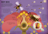 Wild Your World: Bees - Camilla de la Bedoyere