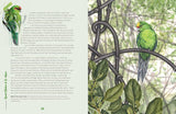 Bird of the Year - Forest and Bird
