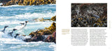 Birdlands: Up Close and Personal with the Birds of Remote New Zealand - Edin Whitehead PRE-ORDER