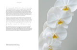 Beautiful Blooms - Georgianna Lane