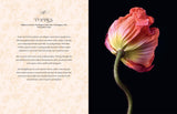 Beautiful Blooms - Georgianna Lane