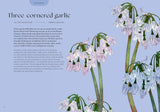 Blossom: Practical and Creative Ways to Find Wonder in the Floral World - Adriana Picker
