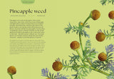 Blossom: Practical and Creative Ways to Find Wonder in the Floral World - Adriana Picker