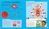 The Spectacular Science of the Human Body: From head to toe and everything inside - Rob Colson