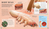 The Spectacular Science of the Human Body: From head to toe and everything inside - Rob Colson
