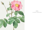 The Botanical Artist: Learn to Draw and Paint Flowers in the Style of Pierre-Joseph Redouté - Francoise Balsan