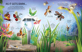 See Inside - Bugs & Butterflies - Usborne Flap Book