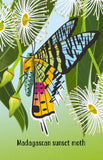 Snap Cards - Bugs
