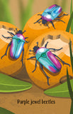 Snap Cards - Bugs