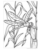 Super Cool Bugs and Spiders Coloring Book: Color and Learn About Amazing Insects and Spiders from Around the World