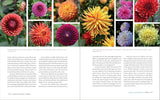 The Essential Guide to Bulbs - Jenny Rose Carey