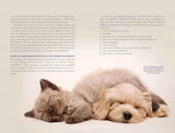 Cat Zen: A Comprehensive Guide to Raising Gentle and Resilient Cats - Mark Vette