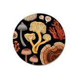 Coasters - Wolfkamp & Stone - Various Designs