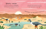 Time to Explore Dinosaurs (With a Foldout Surprise!) - Andrea Mills