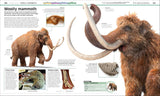 Knowledge Encyclopedia Dinosaur! - DK