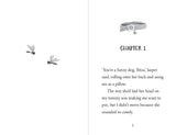 Bitza Book 2: Rules? What Rules? - Andrew Daddo