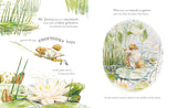 The Tale of Mr. Jeremy Fisher Picture Book 120th Anniversary - Beatrix Potter