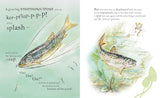The Tale of Mr. Jeremy Fisher Picture Book 120th Anniversary - Beatrix Potter