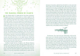 Wicca Herbal Magic: A Beginner's Guide to Herbal Spellcraft - Lisa Chamberlain