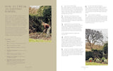 How Does Your Garden Grow?: The elements of planning, growing & caring for a garden - Milli Proust