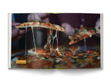 The Encyclopedia of Italian Food - The Coastal Kitchen