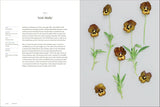 Pansies - Brenna Estrada