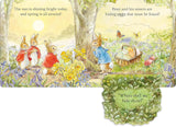 Peter Rabbit - Easter Fun