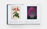 Plant: Exploring the Botanical World, compact edition - Phaidon