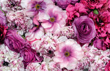 Ranunculus - Naomi Slade