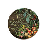 Coasters - Wolfkamp & Stone - Various Designs
